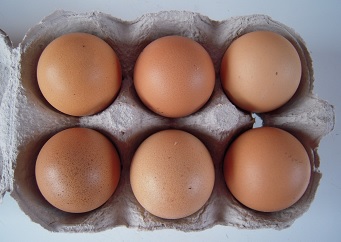 small hen-eggs